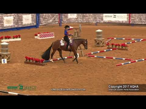 A Judge's Perspective: 2017 AQHA Select Trail World Champion