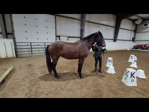 Empress PG Trail Course 1.29.21