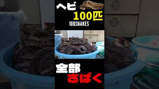 100匹のヘビを全部さばく！