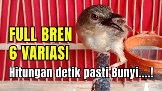 Download lagu CIBLEK GUNUNG GACOR NGEBREN 6 VARIASI COCOK UNTUK MASTERAN CIGUN BREN RAPET NEMBAK PANJANG!!! mp3 Download lagu CIBLEK GUNUNG GACOR NGEBREN 6 VARIASI COCOK UNTUK MASTERAN CIGUN BREN RAPET NEMBAK PANJANG!!! mp3