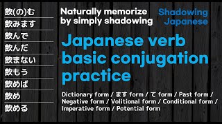 [Naturally memorize by simply shadowing] | Japanese verb basic conjugation practice
