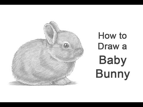 How to Draw a Rabbit (Baby)