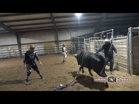 Bull Riding Clinic - November 19, 2022 Rides