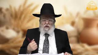 דף היומי בחצי שעה – מסכת מנחות דף ק”ט