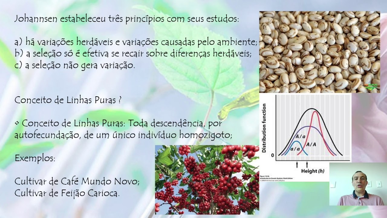 Melhoramento Plantas Autógamas - 1ª Parte
