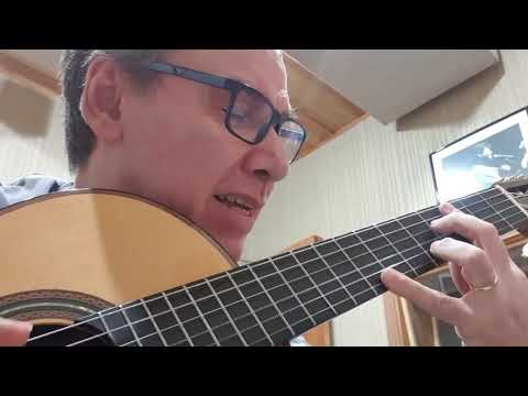 João Alexandre Silveira - Preciso aprender a ser só (Elis Regina)