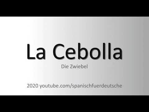 Spanisch für Deutsche: Cebolla -- Zwiebel