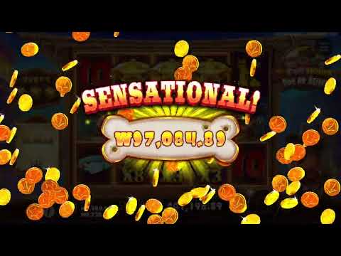 '더 도그 하우스 - 도그 오어 어라이브' 대박 동영상