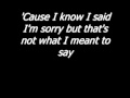 Chris Daughtry-What I Meant To Say LYRICS