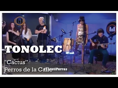 TONOLEC, "Cactus" ( de GUSTAVO CERATI)