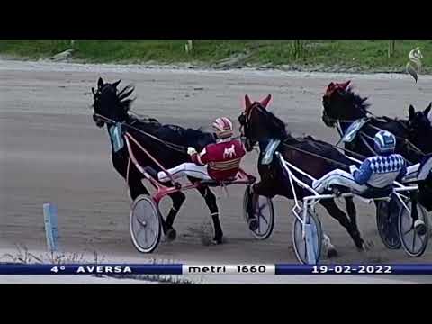 Aversa trotto 19 Febbraio 2022 - 4° Corsa