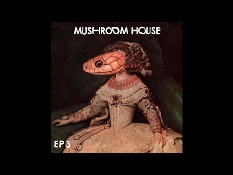 PREMIERE: Kiwi - We Are Here [Toy Tonics]