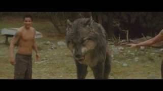Bella slaps Paul - Werewolf fight sneak peak