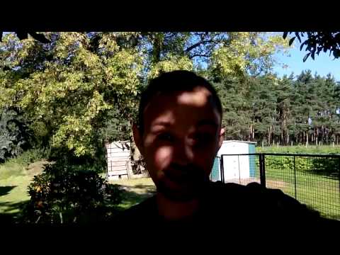 Der Game Mogul in der Natur! Das Paradies vor der Haustür!