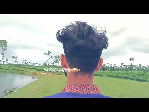 Tha neutral beauty of Shamsher Nagar / islam Robi shot story video