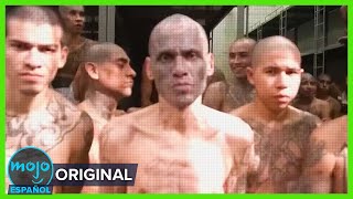 Thumbnail del capítulo