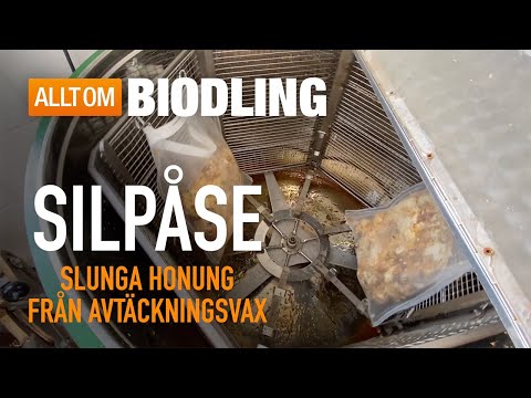 Silpåse - slunga honung från avtäckningsvax | Biodling