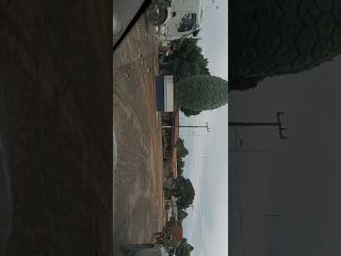 Pau d'arco TO, Capital do abacaxi #abacaxi #tocantins #rioaraguaia #agro