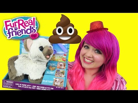 Kami My Poopin' Kitty FurReal Friends Cat Eats & Poops | TOY REVIEW | KiMMi THE CLOWN Video