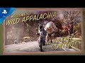 Fallout 76 | Wild Appalachia | PS4