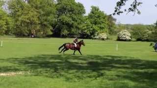 Royal Jester Bay - Past to Present