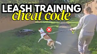 Why Leash Training Falls Apart in the Real World (and 3 Ways to Fix It)