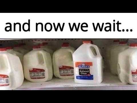 Disgruntled Memes