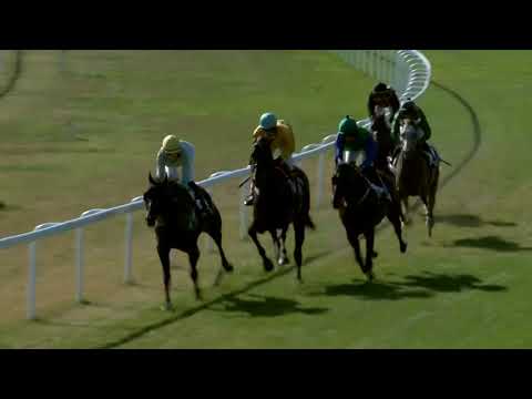 2018.08.12. 06. futam - MEZŐHEGYESI DÍJ (I. kat.)