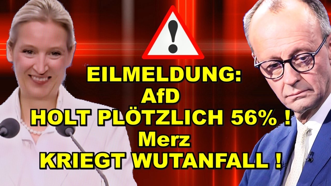 EIL: AfD HOLT 56%! Merz kriegt WUTANFALL!