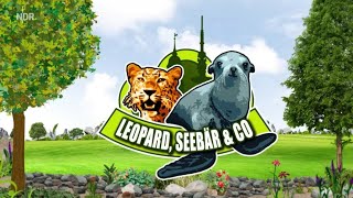 Leopard, Seebär & Co. Best Moments #51 aus Folge 132 #clips #funny #Ds