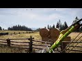 Cougar Vs Bull