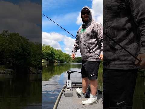 Guess they are biting!