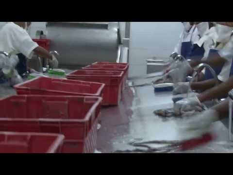 Replicating success in sustainable fisheries management