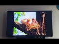 Sesame Street Elmo Sings All About The Sound That S In The Air