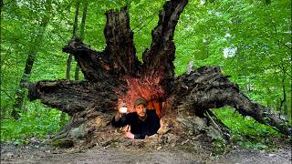 Building a Secret Dugout Inside a Hollow Tree | Building the Most Hidden Bushcraft Shelter