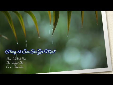 Không hẹn một cơn mưa - Thái Hòa