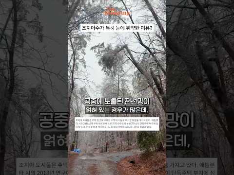 쇼츠 5