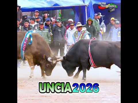 X Toro Tinku Norte Potosino UNCIA 2026 Enc:"Capri-Capibara".  #almaproduccionesbolivia #shortsviral