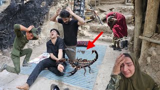 Download lagu Scorpion sting in the inaccessible mountain; Hussein's terrifying story in the heart of nature mp3