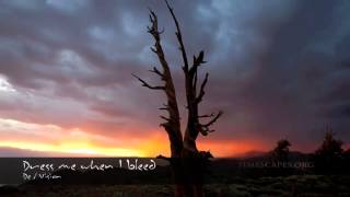 De/Vision - Dress me when I bleed (Radio Edit) - Unversed in Love