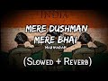 Mere Dushman Mere Bhai - Lofi (Slowed + Reverb) | Hariharan | Border Movie