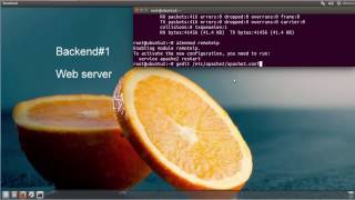 Download the video "How to Setup HAProxy Load Balancing on Ubuntu 16 & LinuxMint"