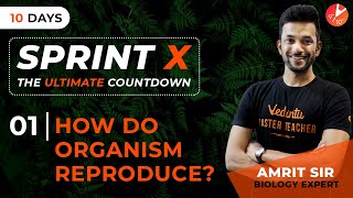 How do Organisms Reproduce? | CBSE Class 10 Science (Biology) Chapter 8 | Sprint X - 2 (2019)