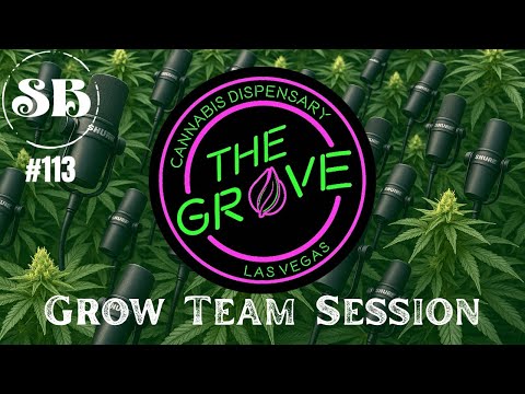 SB PODCAST - EP 113 - THE GROVE: Grow Team Session
