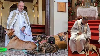 Priest Discovers Stray Dogs Outside His Church - His Actions Wow the Community