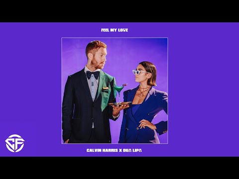 Calvin Harris X Dua Lipa Type Beat - "Feel My Love" // Dance Pop Instrumental