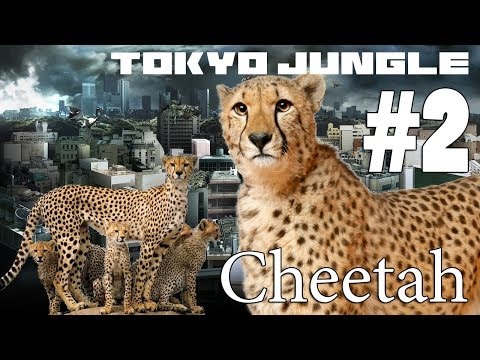 Tokyo Jungle: Cheetah Survive over 100 years  Part 2 of 4