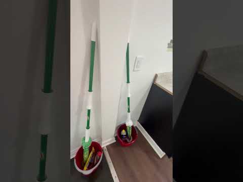 Newly Renovated 3 Bedroom • 1 Bathroom Home property video
