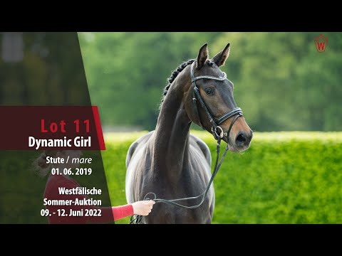 Sommer-Auktion Lot 11 Dynamic Girl Stute v. Dreamline - Vitalis