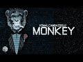 Techno Monkey Banana